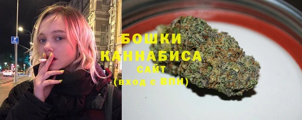 2c-b Бутурлиновка