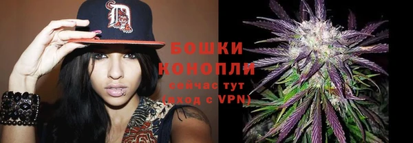 ГАЛЛЮЦИНОГЕННЫЕ ГРИБЫ Балахна
