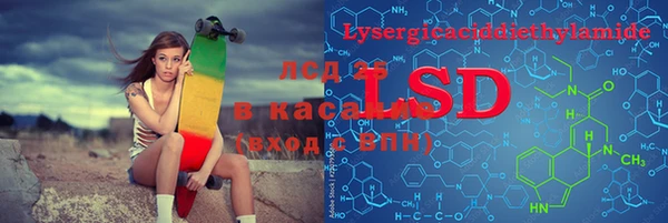 ГАЛЛЮЦИНОГЕННЫЕ ГРИБЫ Балахна