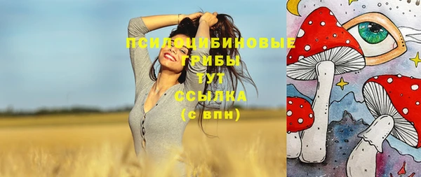 крисы Осинники